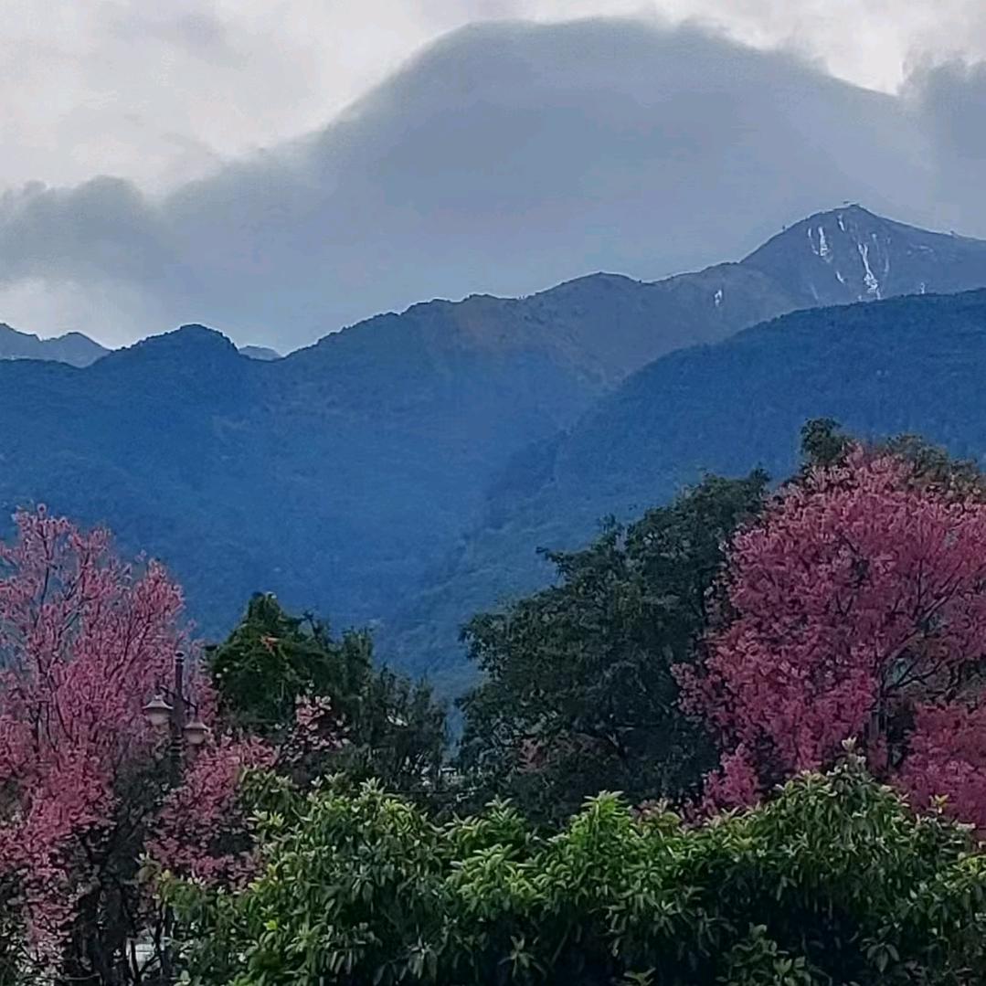 安好