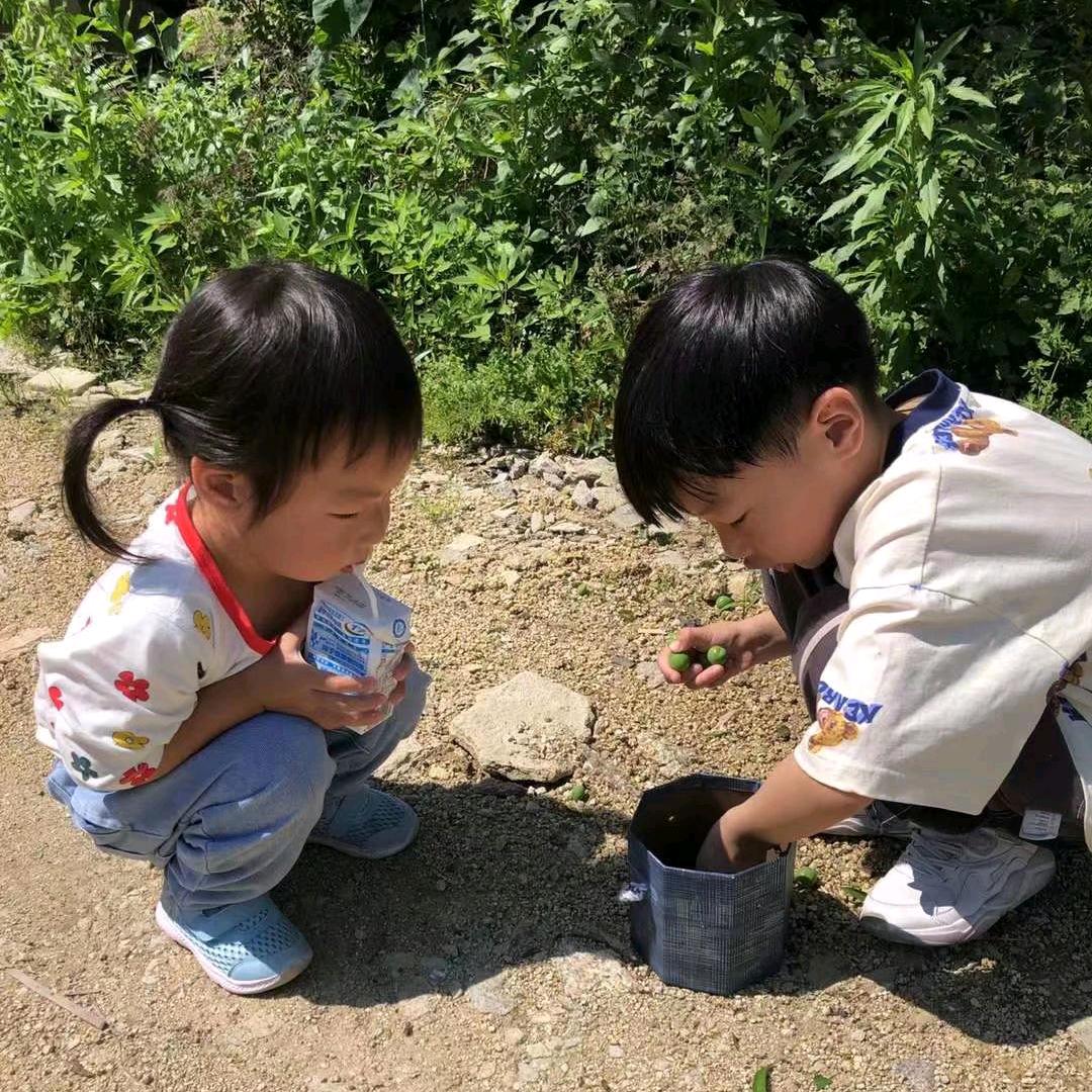 珍姐