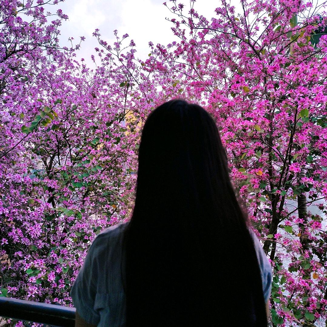 蓝蓝妹纸