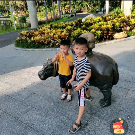 老林师经络按摩服务部