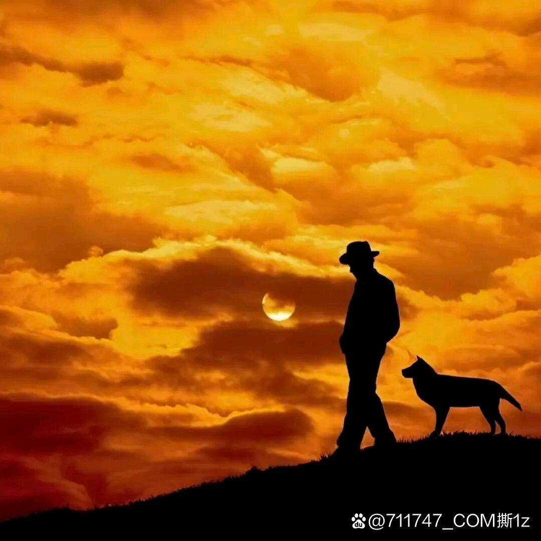 陌