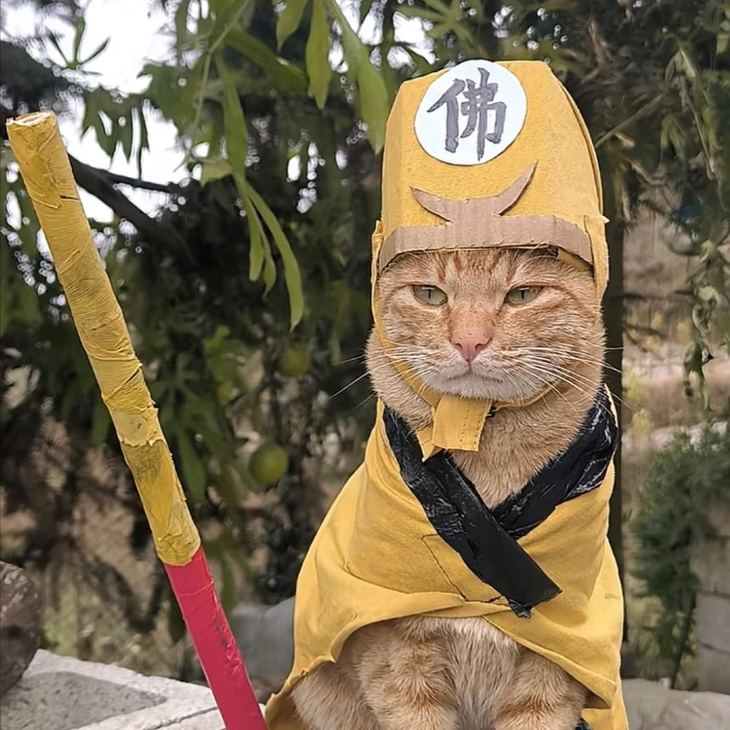 🍋美檬成真 ᰔ