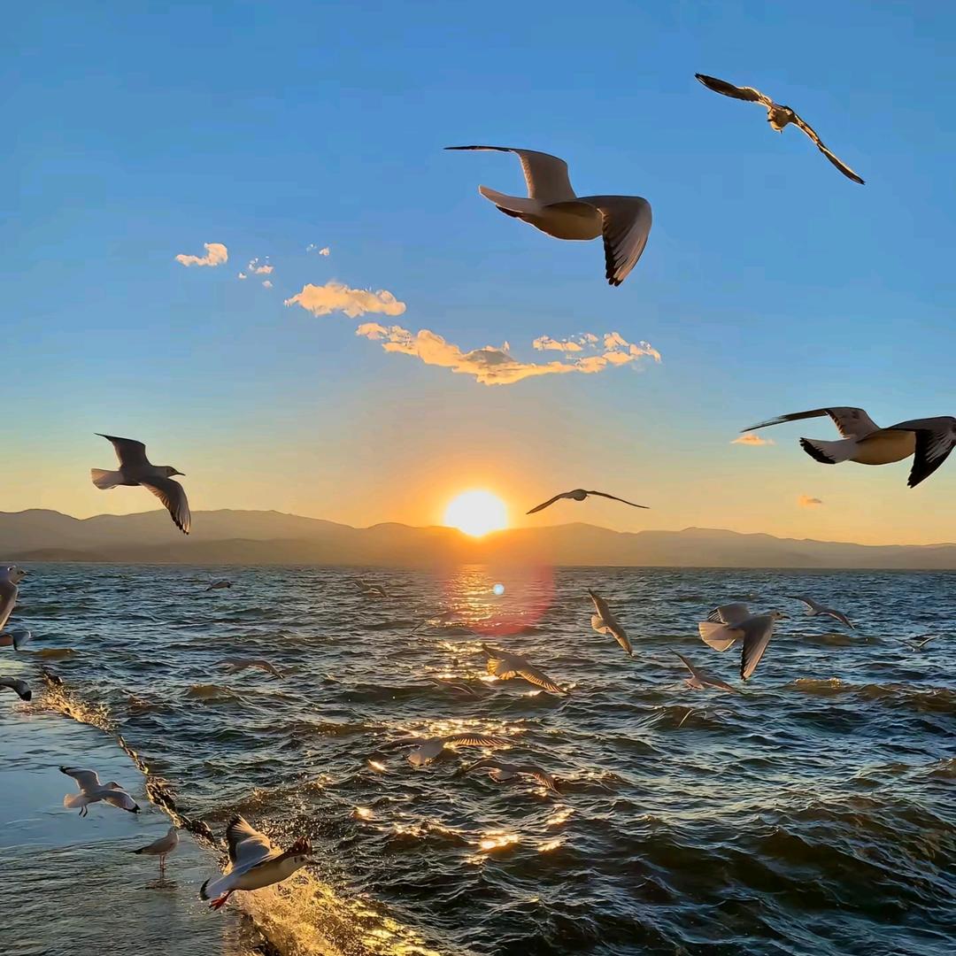 北戴河小强-游遍北戴河