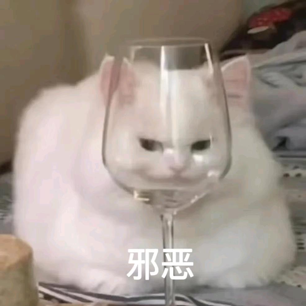 阿缪雪尔
