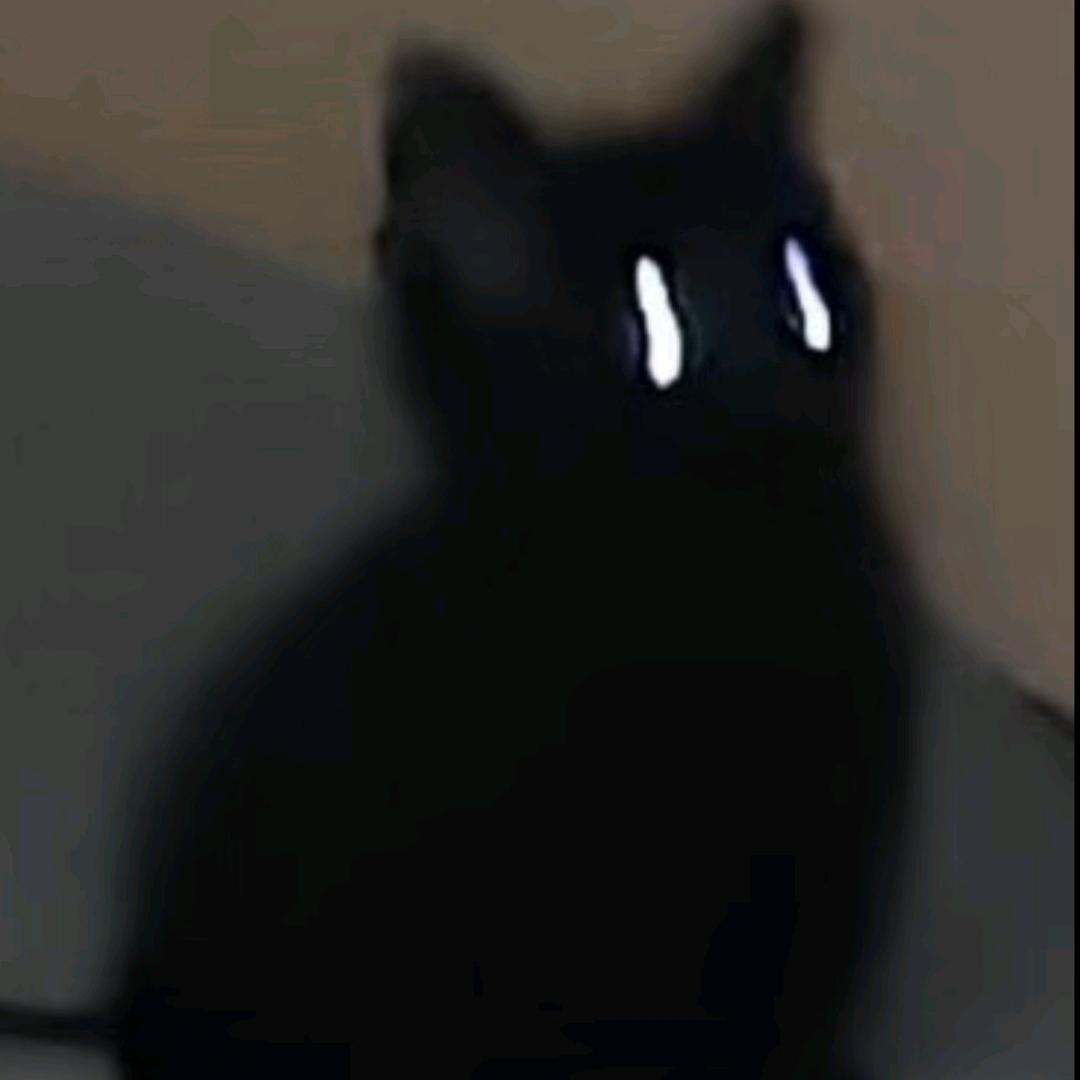 巷尾猫
