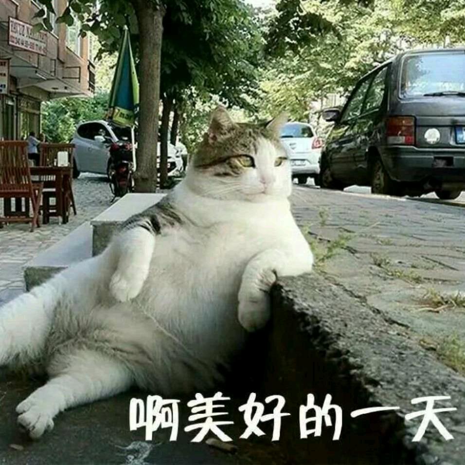 大手笔😄