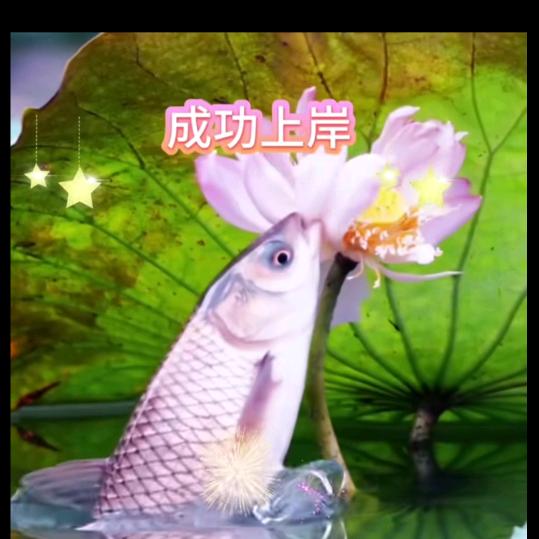 最初的未来🚬ಇ᭄烟࿆ྃ似寂寞໊酒似愁࿐