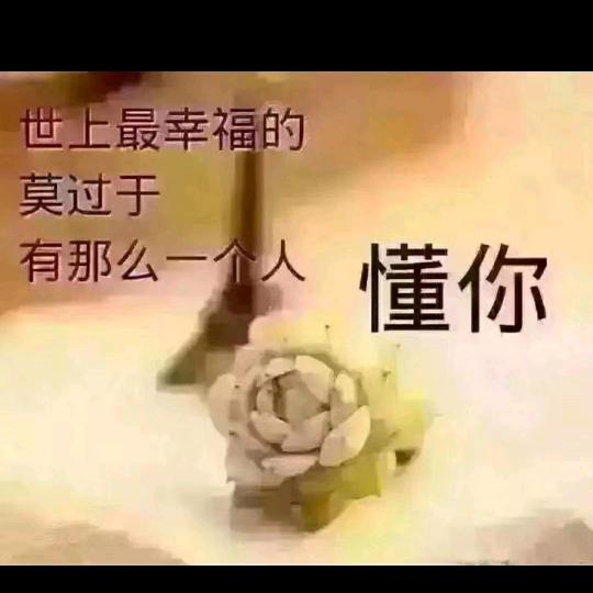 爱在天涯