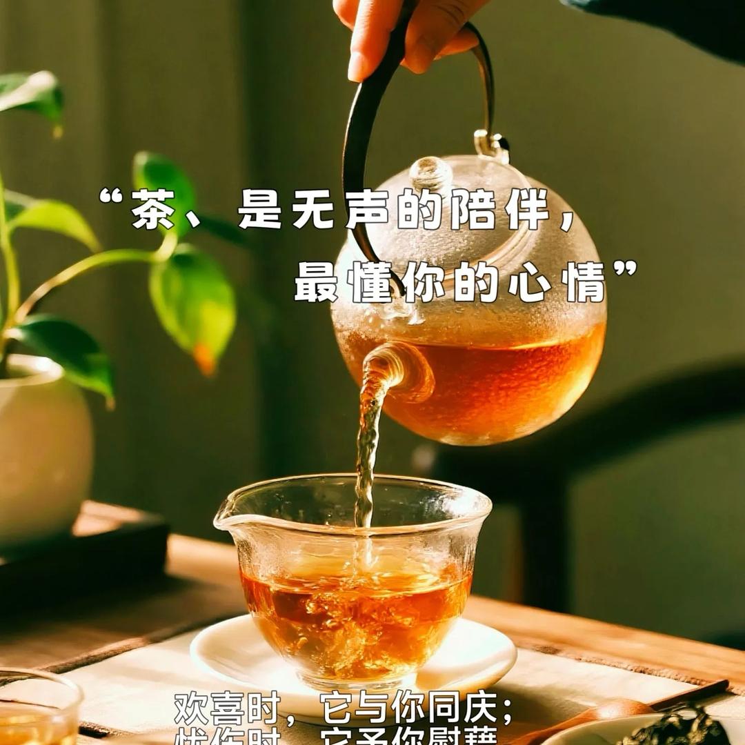 茶满方庭