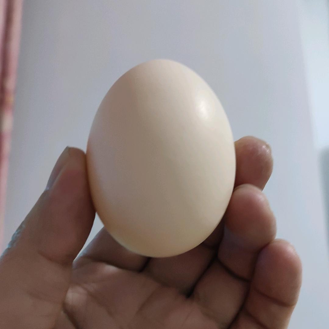 86986861018