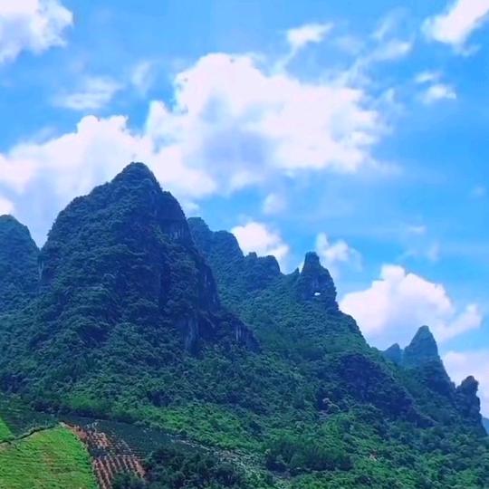 山歌妹
