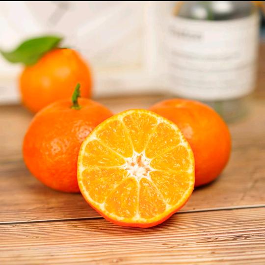 倒悬山十一镜大妖