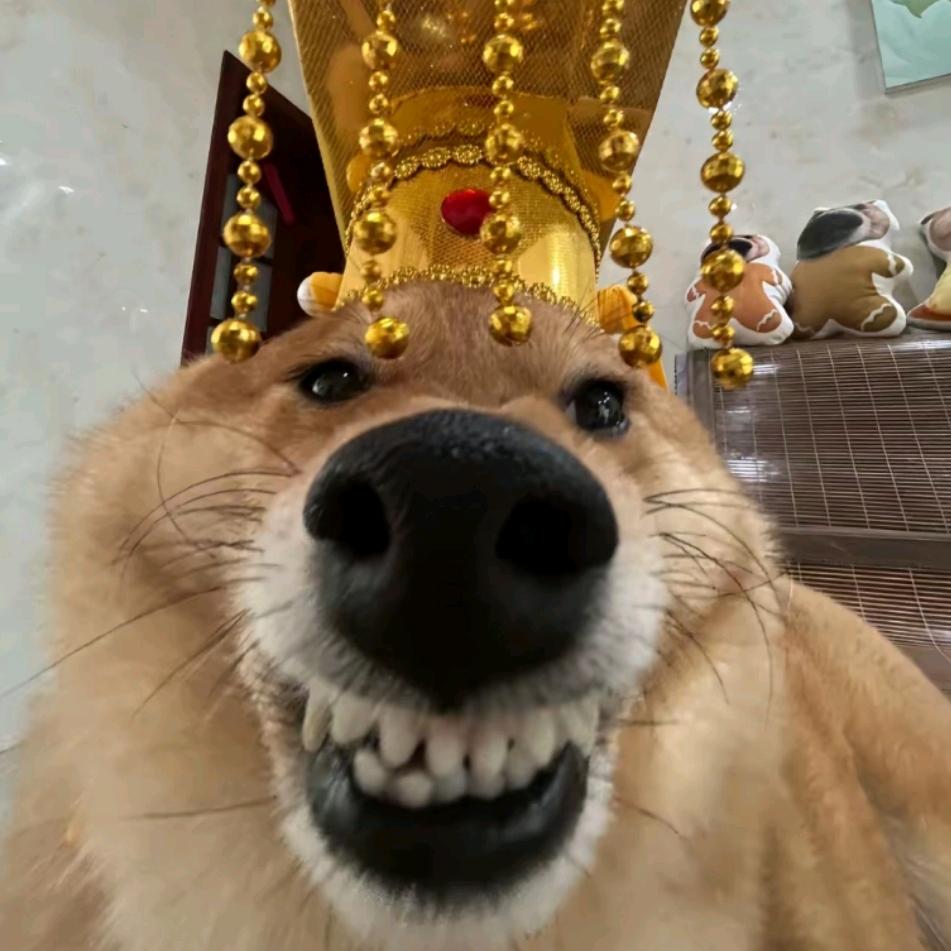 广西喊麦的王