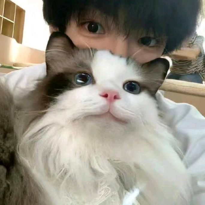 不知名的可达鸭