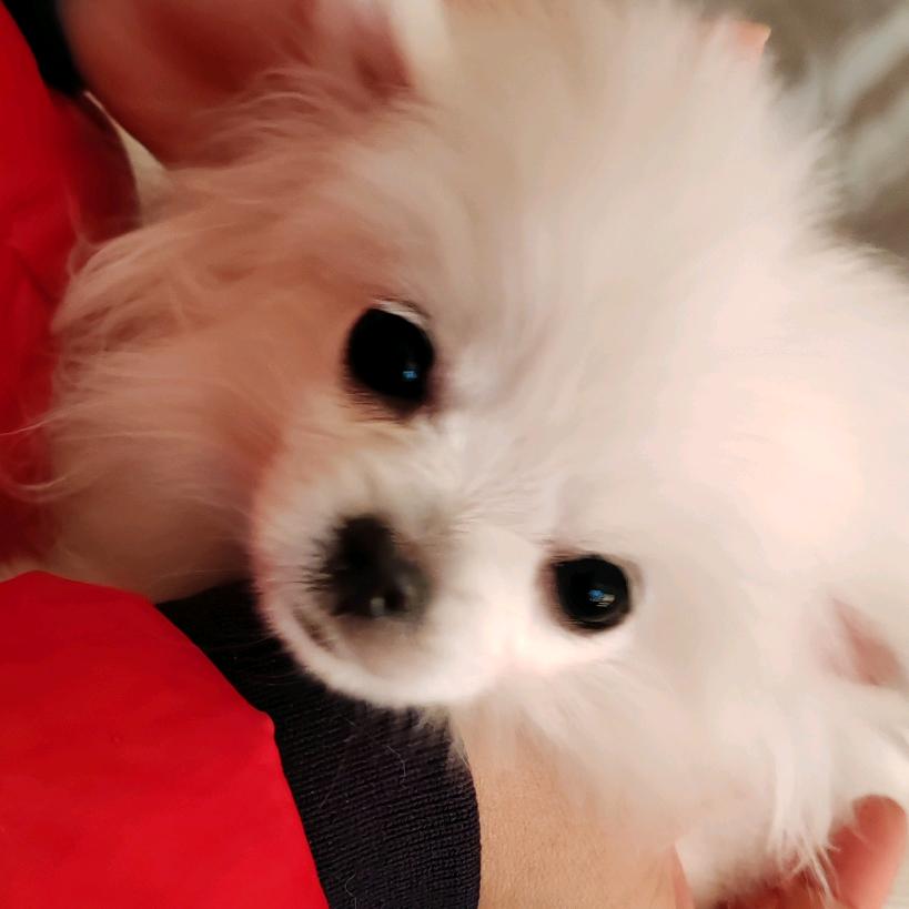 糖糖🍭