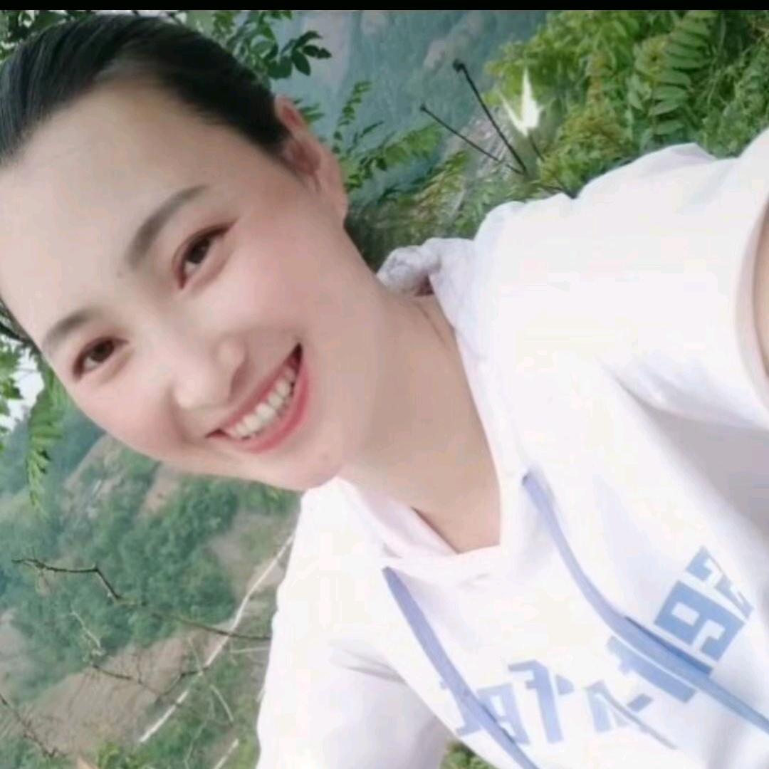 农村燕子爱生活