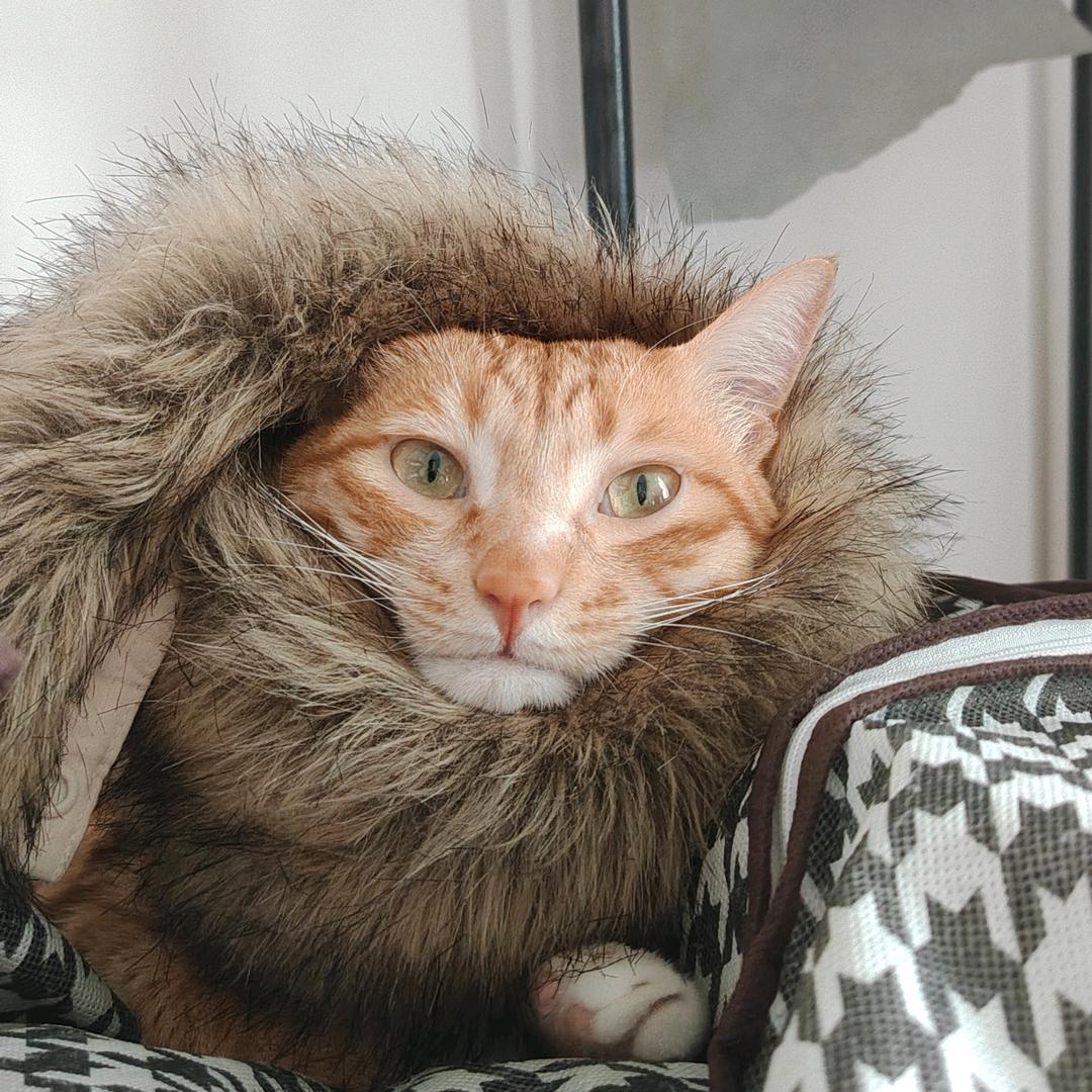 小白遇上了小年