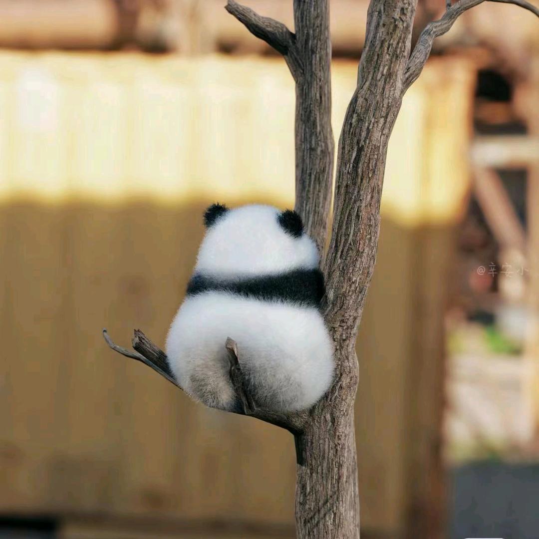 新笑傲江湖-南宫