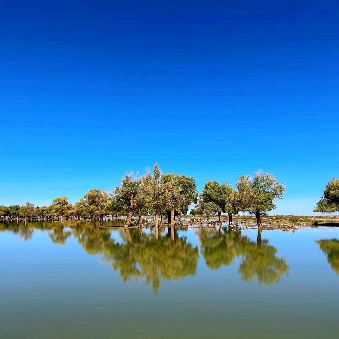 我就不信我不行