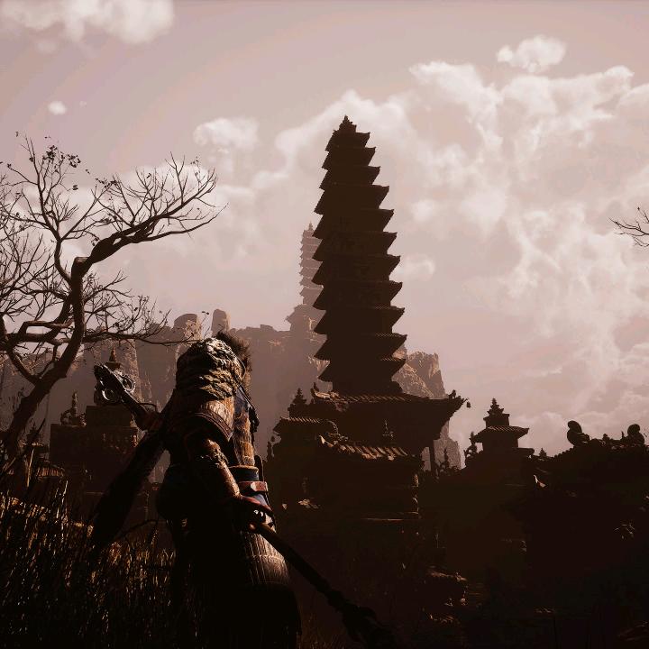 4613495头像