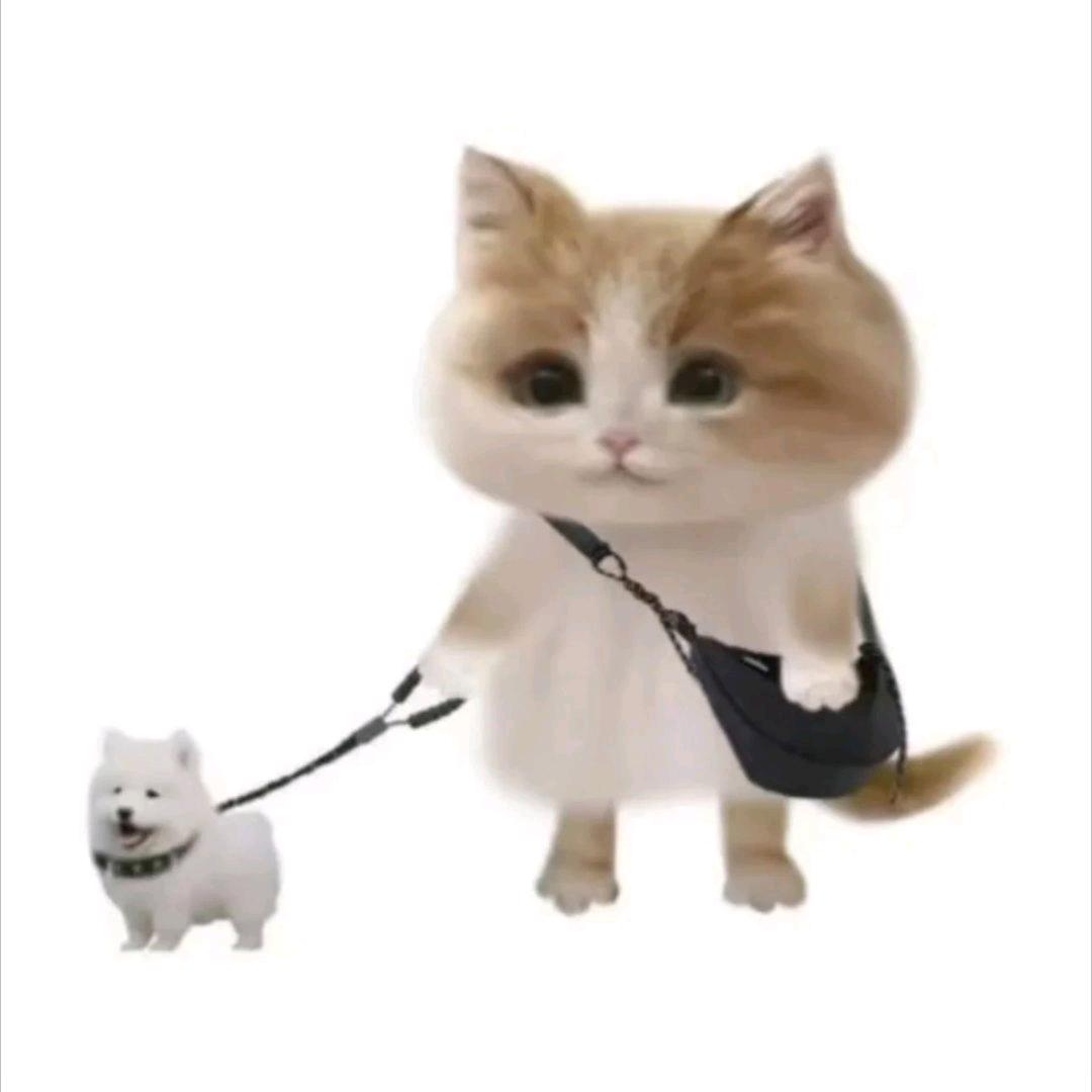 爱喝汽水的小王爷