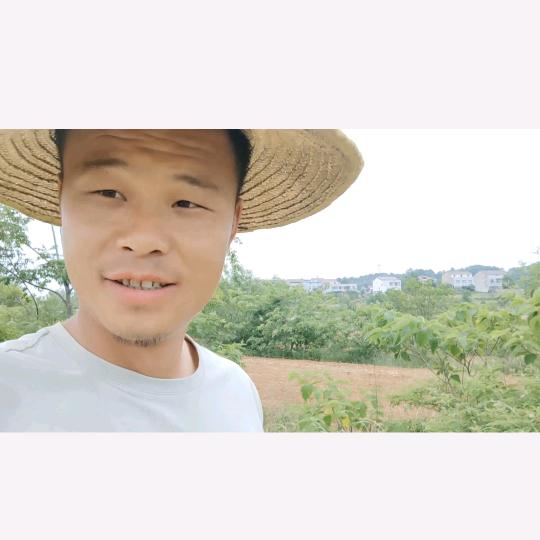 杨小琪务农记