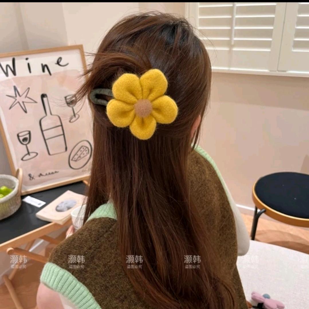 小辉辉爱分亨