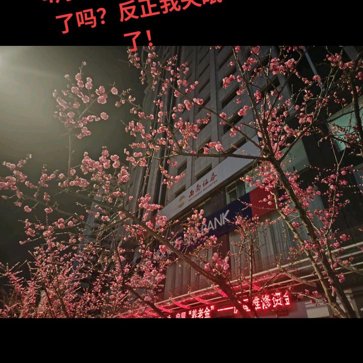 李家二姐