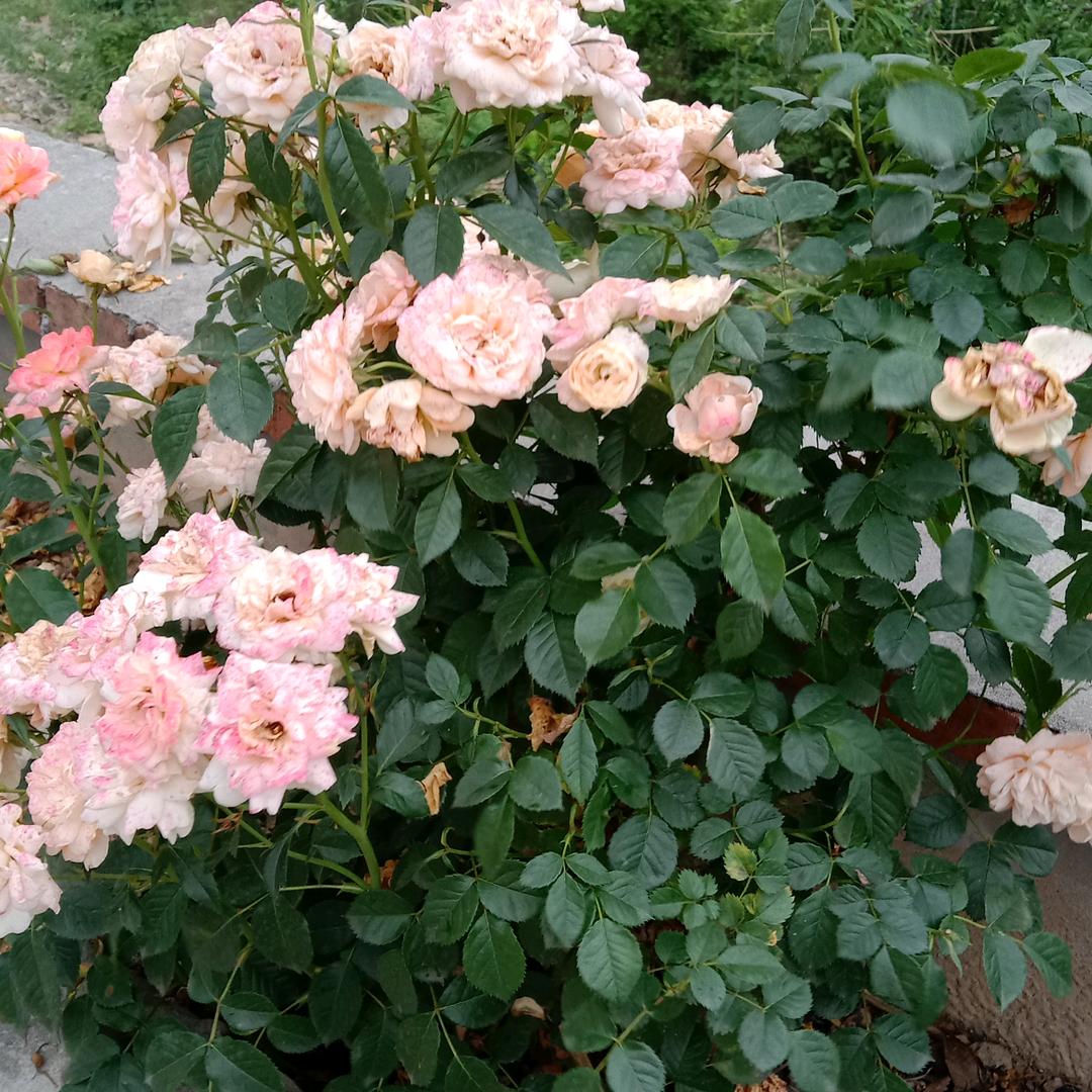 忘掉过去从新开始