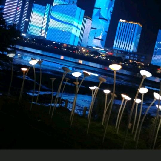 秋秋（谢绝私聊）