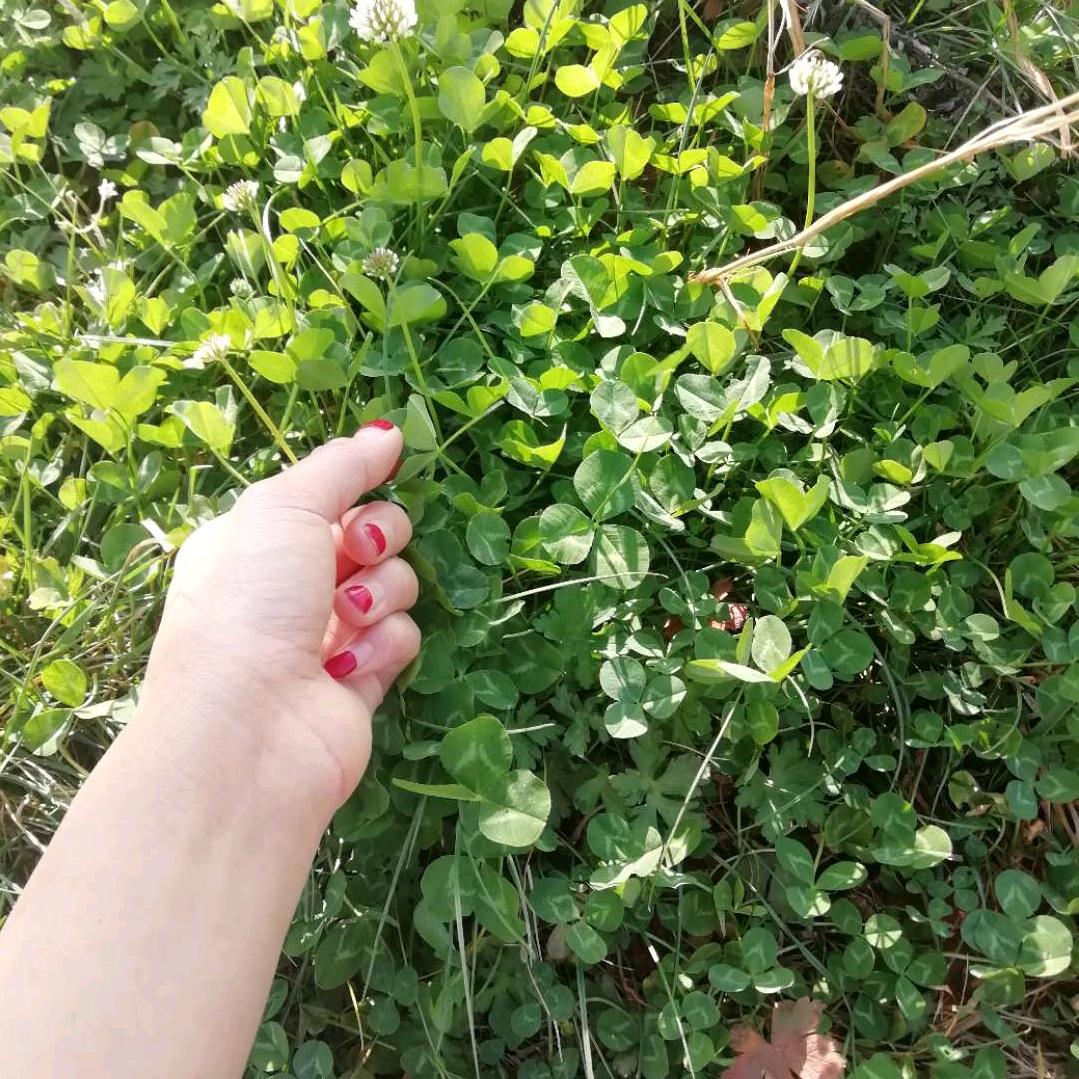 🦋এ᭄心碎ꦿ谁💔买单ོ࿐ᩚ爱的天使