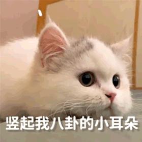 元宝~呀头像