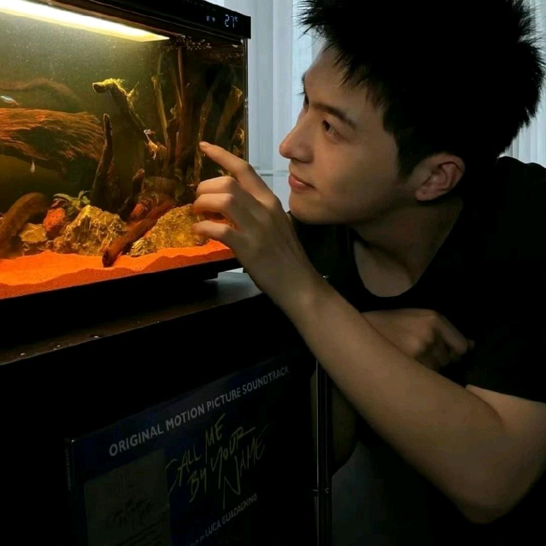 烦恼风。