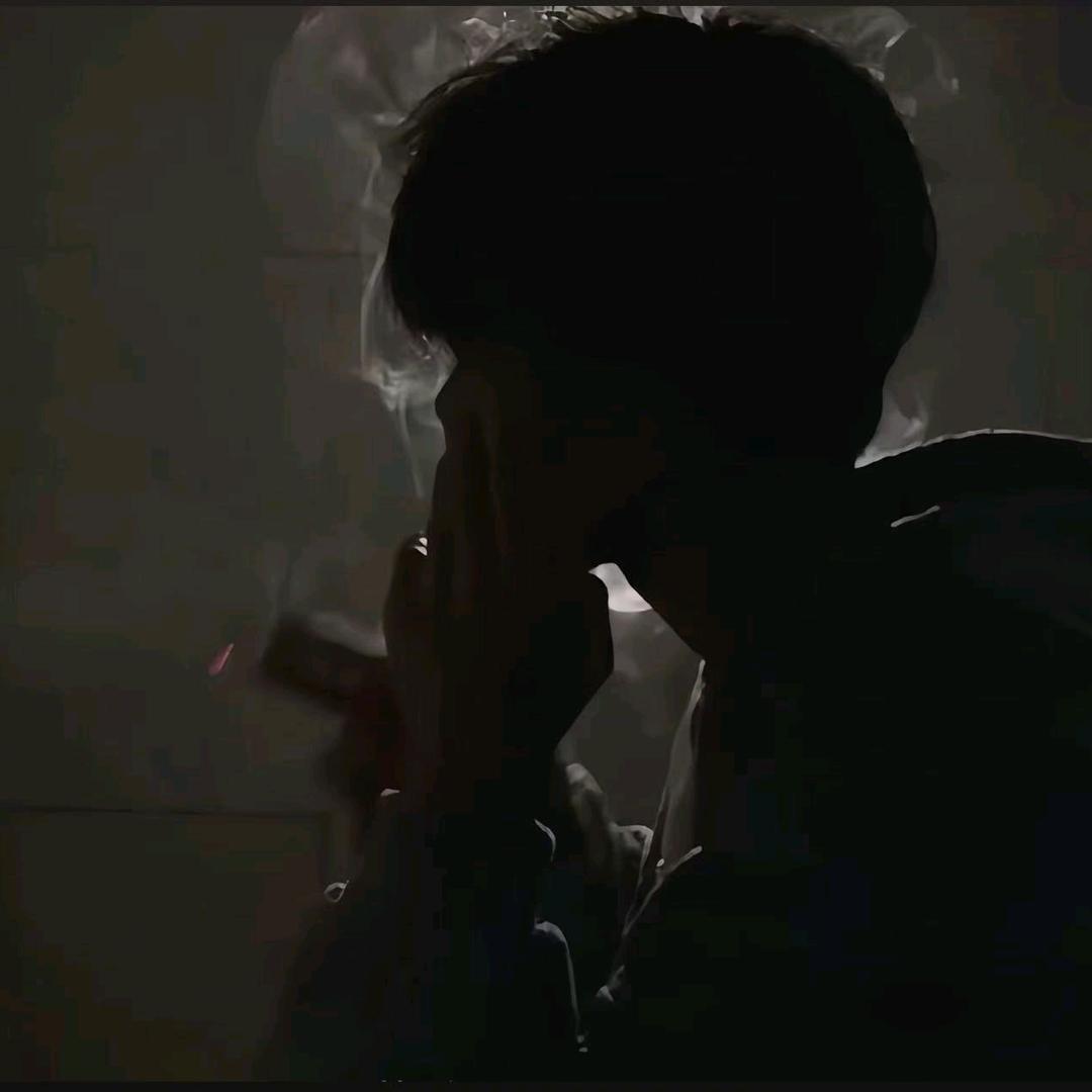 我与春风皆过客，你携秋水揽星河