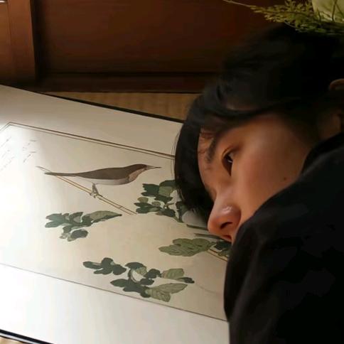帅帅鱼