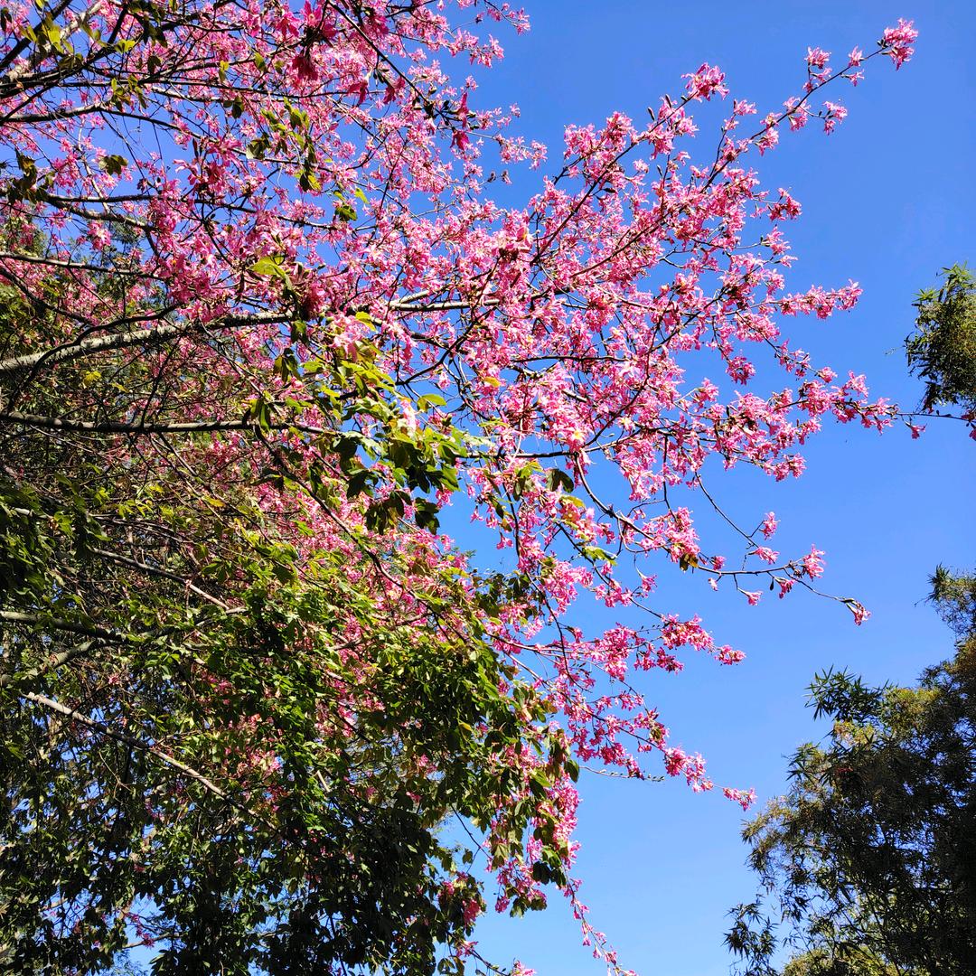 开心每一天🧚‍♀️🧚‍♀️🧚‍♀️