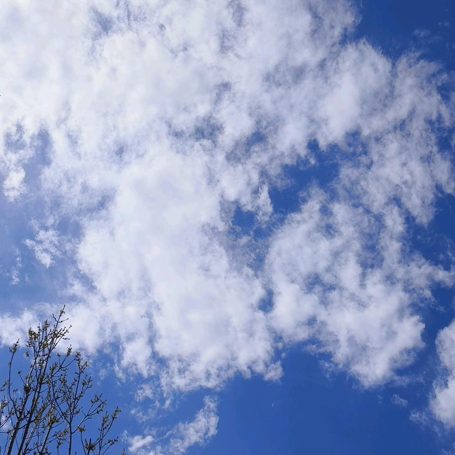 婆婆媳妇两家人