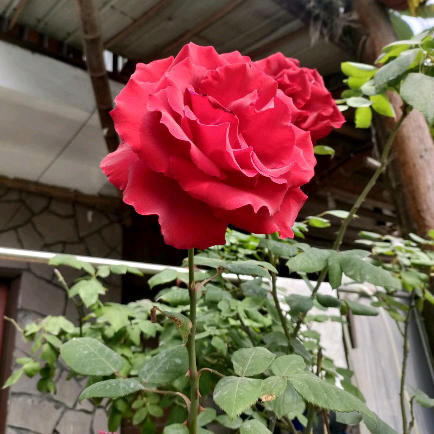 💔💔💔💔💔💔