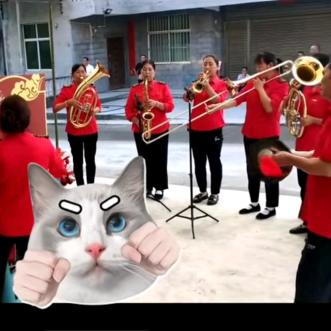 双泉星梦管乐艺术队