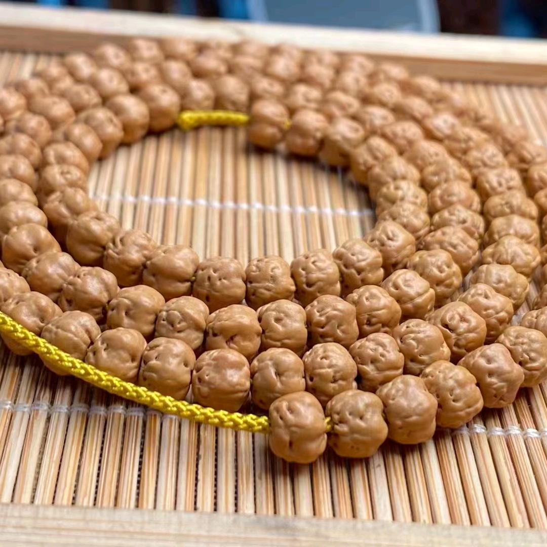 佛手小金刚供货