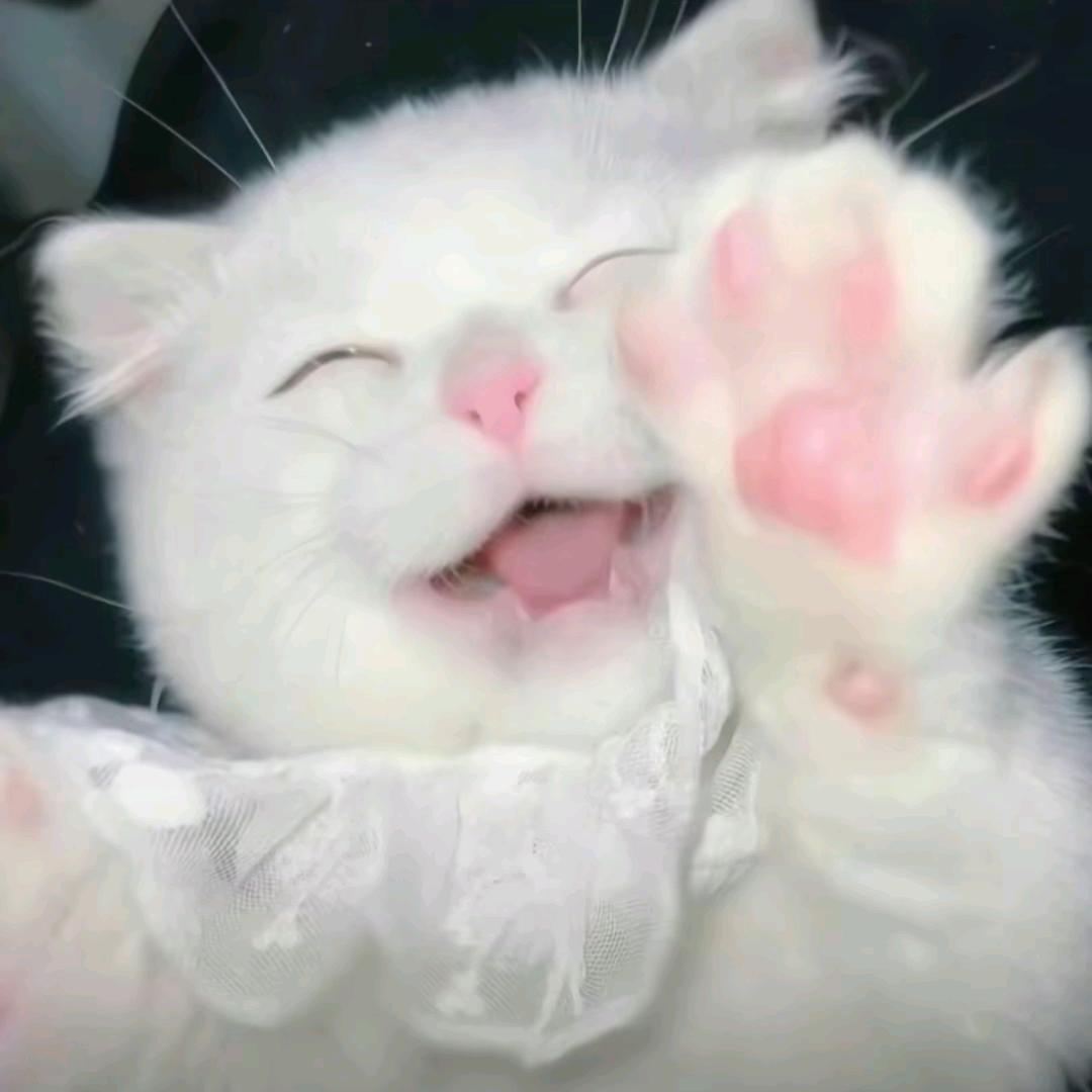 小张不ok