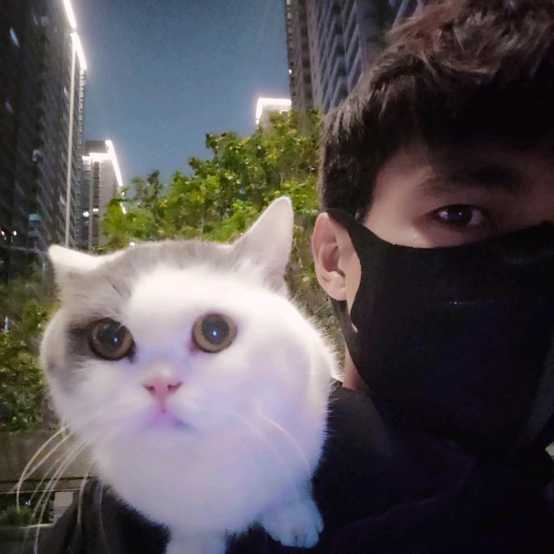 大番薯是只猫🐱