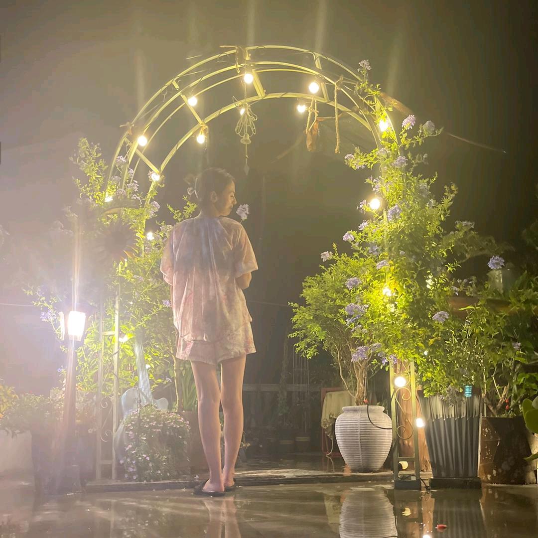 真美丽的花