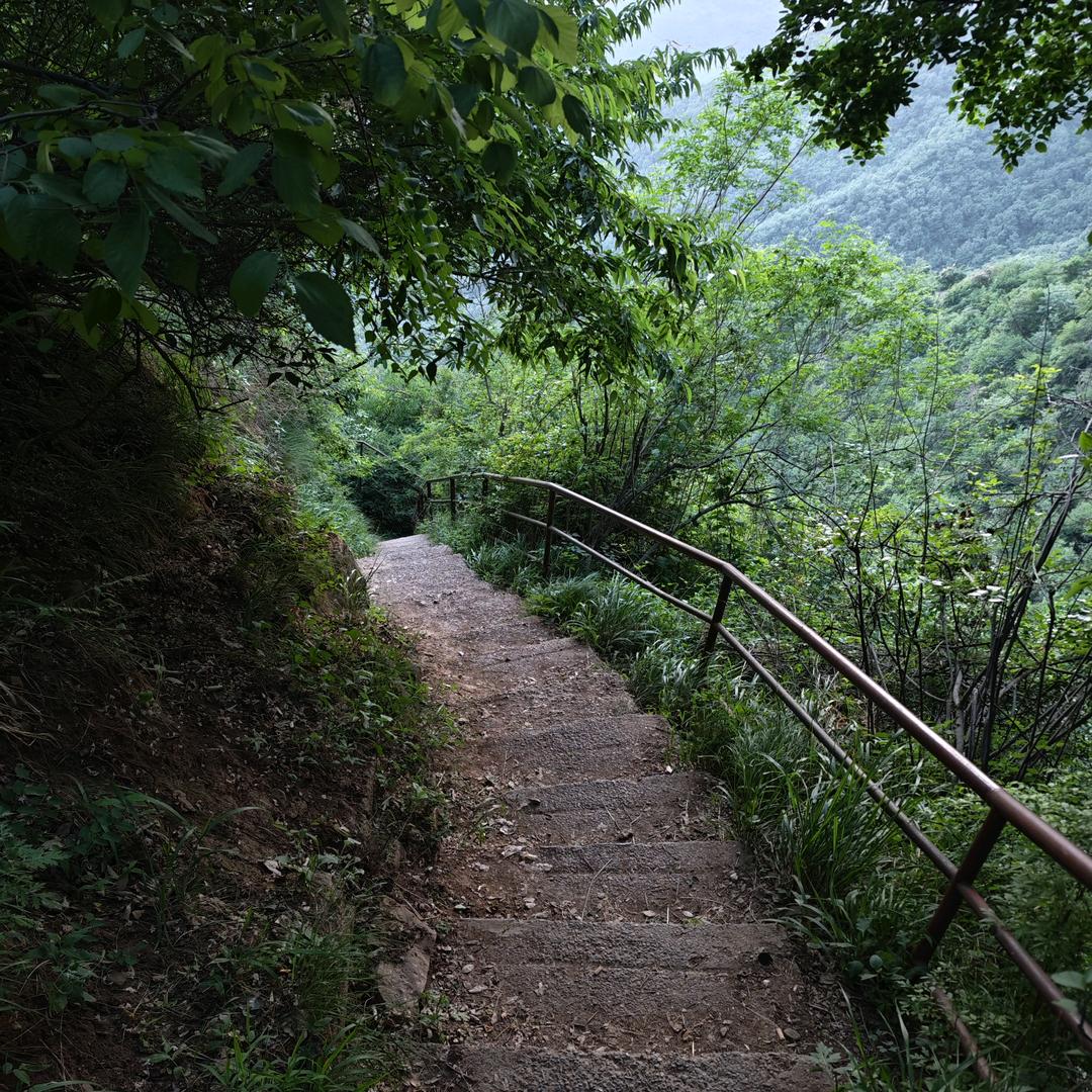 我又又又穿越了