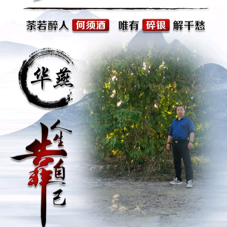 聊城市佳奇新能源科技有限公司