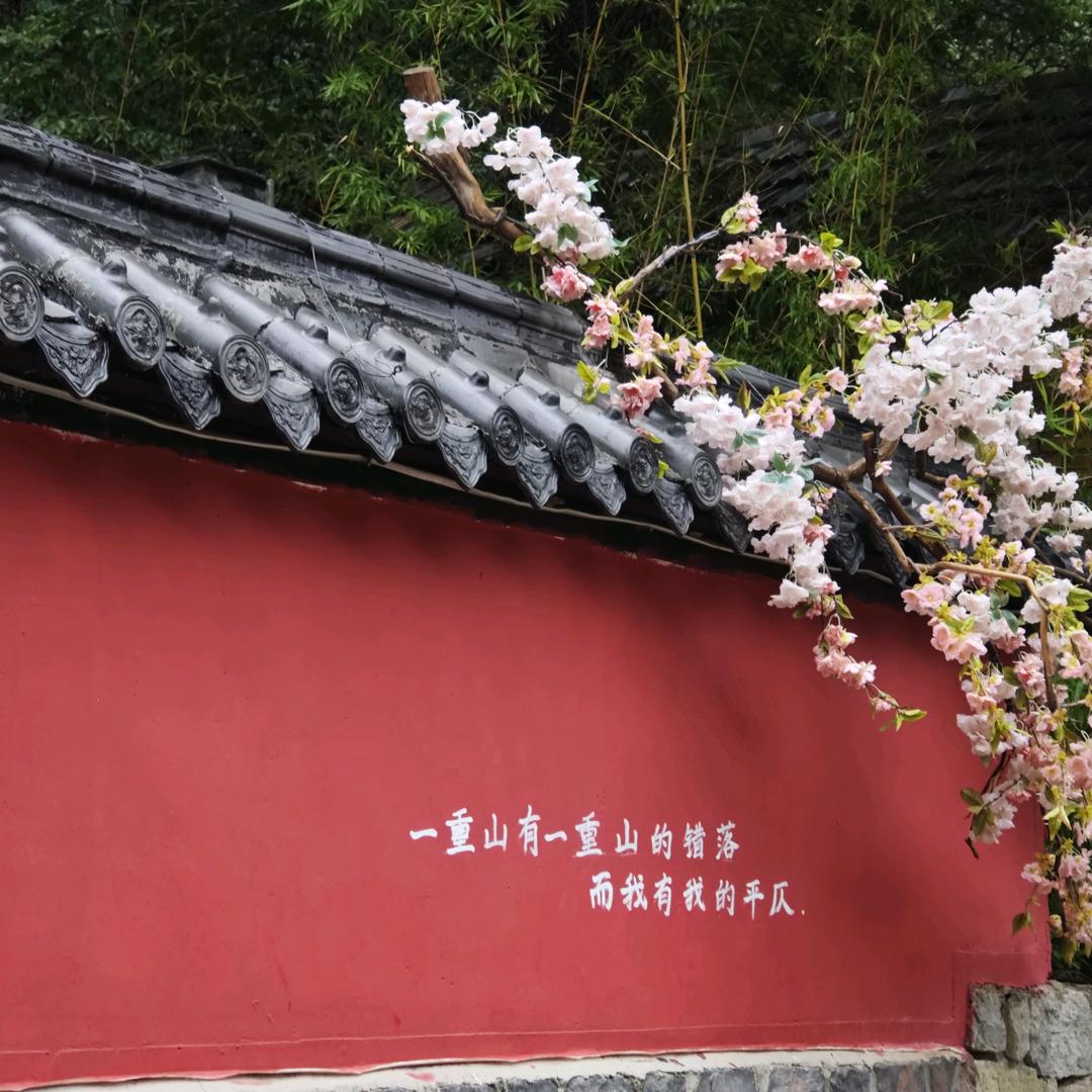 爱盘串的那个小子