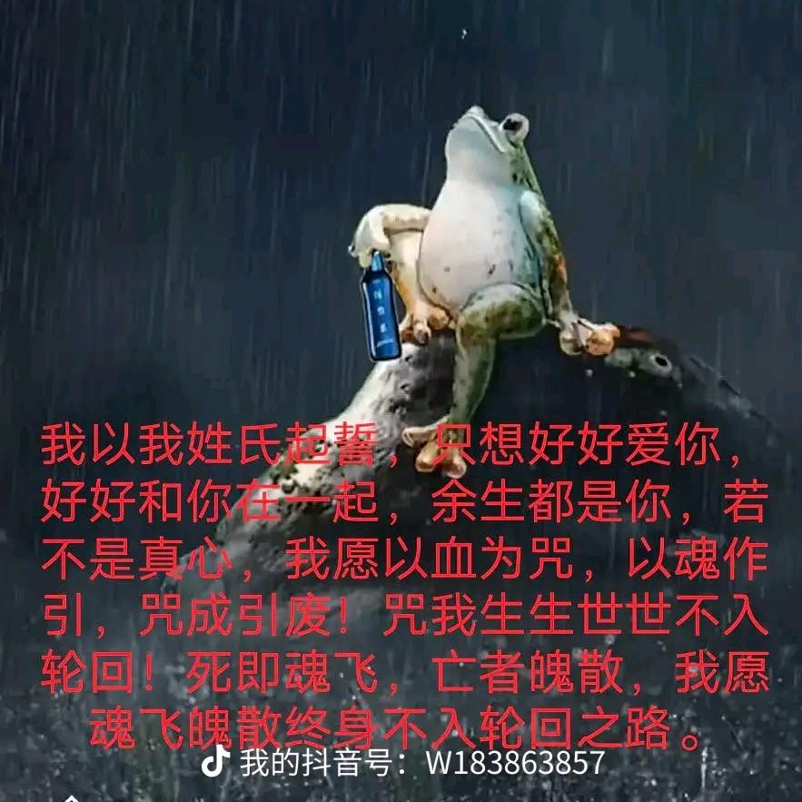 半生风雨半生缘