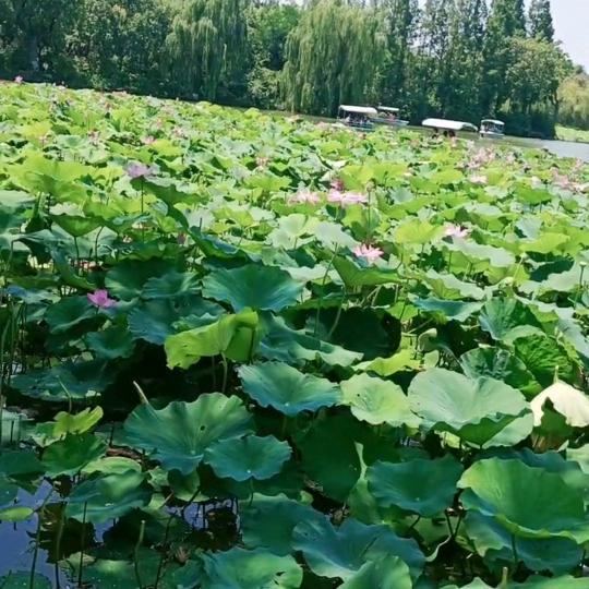 我呀