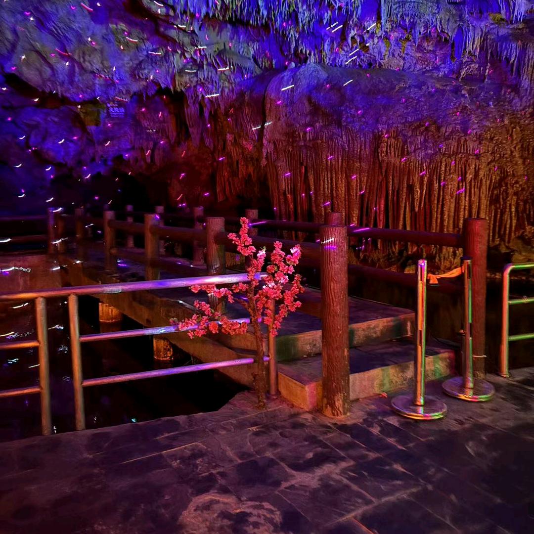 静沐☘️晚杨☘️