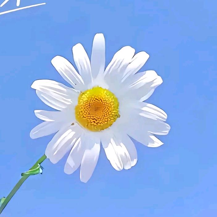 金木商行时尚生活严选